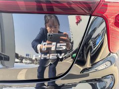 Hongqi H5 PHEV 170 super hybrid version - фото 14