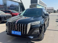 Hongqi HS5 2023 2.0T Qixiang Pro 500,000 Units Commemorative Edition - фото 2