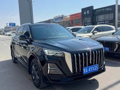 Hongqi HS5 2023 2.0T Qixiang Pro 500,000 Units Commemorative Edition - фото 3