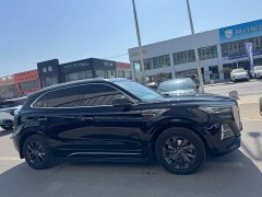 Hongqi HS5 2023 2.0T Qixiang Pro 500,000 Units Commemorative Edition - фото 4