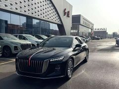 Hongqi H5 2.0T Automatic Zhilianqichang Edition - фото 1