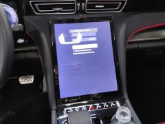 Hongqi H6 2024 2.0T Beauty Edition - фото 13