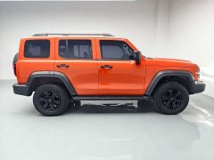 Tank 300 Off-Road Version 2.0T Conqueror - фото 13