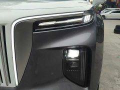 Hongqi E-HS9 660km Flagship Edition Four-Seat - фото 10