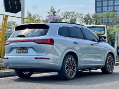 AITO Wenjie M7 2024 1.5T Intelligent Driving Four-wheel Drive Max Version 6 Seats - фото 5
