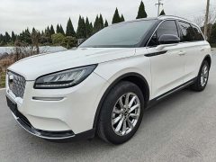 adventurer 2.0T 2WDDeluxe Edition - фото 2