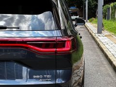 Lanjing 380TSI four-wheel drive luxury Jiajing Edition Pro - фото 11