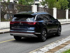 Lanjing 380TSI four-wheel drive luxury Jiajing Edition Pro - фото 9