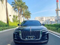 Hongqi H9 2.0T Zhilian Qixiang Edition - фото 2