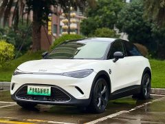smart Elf #3 Pulse four-wheel drive version - фото 1