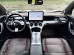 smart Elf #3 Pulse four-wheel drive version - фото 10