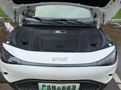 smart Elf #3 Pulse four-wheel drive version - фото 15