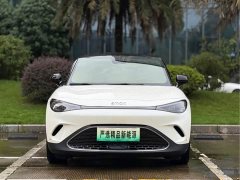 smart Elf #3 Pulse four-wheel drive version - фото 2