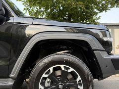 Tank 300 PHEV 2025 Hi4-T 36.7kWh - фото 11