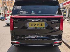 Great Wall Wei brand Alpine 2023 four-wheel drive flagship version - фото 8