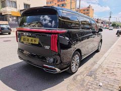 Great Wall Wei brand Alpine 2023 four-wheel drive flagship version - фото 9