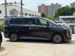 Hongqi HQ9 PHEV 2.0T AWD Business Edition - фото 13