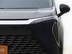 Century 2.0T four-seater private version - фото 3