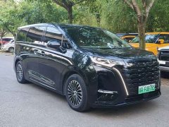 Denza D9 2022 DM-i 970 four-wheel drive flagship - фото 3