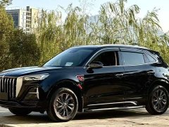 Hongqi HS5 2023 Qixiang Pro Edition - фото 1