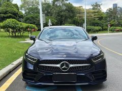 Mercedes-Benz CLS 300 Version - фото 2
