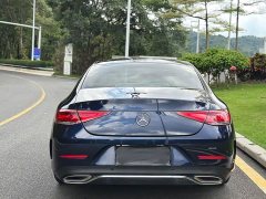Mercedes-Benz CLS 300 Version - фото 9