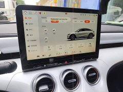 smart #3 Pulse AWD - фото 13