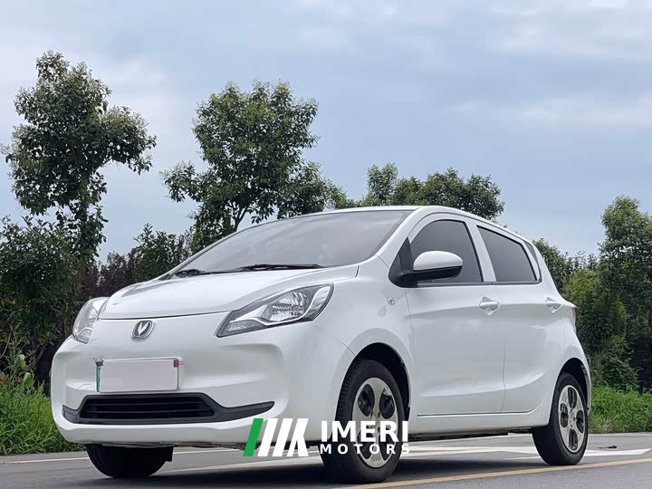 Changan Benben E-Star 2021 National Edition Xinyue Edition Lithium Iron Phosphate (31.18kWh) - автомобиль из Китая