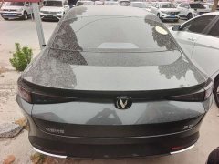 Changan Eado Blue Whale 1.5T 500Bar Premium Type - фото 12