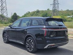 FAW Hongqi HS7 PHEV 2.0T PHEV four-wheel drive Qichang version 6 seats - фото 7