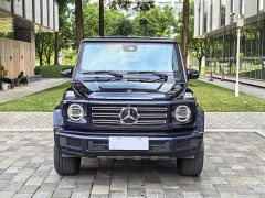 Mercedes-Benz G-Class 2023 G 350 - фото 2