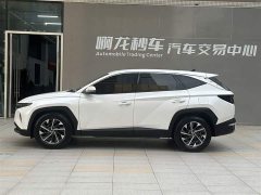 Lexus Tucson L 1.5T DCT GLX Elite Edition - фото 18