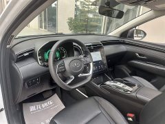 Lexus Tucson L 1.5T DCT GLX Elite Edition - фото 8