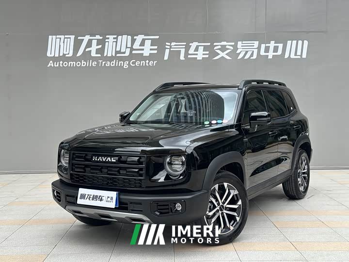 Haval Big Dog 1.5T DCT Border Collie Edition - автомобиль из Китая