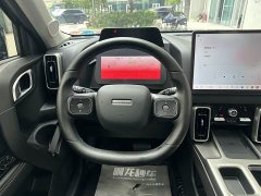 Haval Big Dog 1.5T DCT Border Collie Edition - фото 12