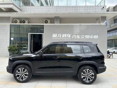 Haval Big Dog 1.5T DCT Border Collie Edition - фото 20