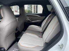 BYD Song Pro New Energy Champion Edition DM-i 71KM Pilot - фото 13