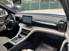 BYD Song Pro New Energy Champion Edition DM-i 71KM Pilot - фото 6