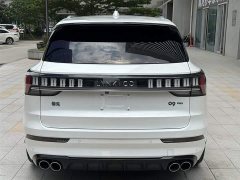Lynk & Co 09 EM-P 2021 2.0T PHEV Ultra six-seater - фото 6