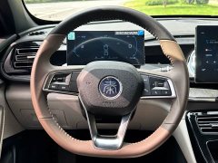 BYD Qin PLUS Honor Edition DM-i 55KM Leading Type - фото 14