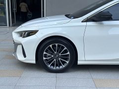 Trumpchi Shadow Leopard Shadow Leopard H high-energy hybrid version - фото 19
