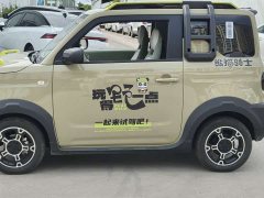 Lynk & Co Panda 2024 200km Panda Rider - фото 8