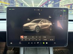 Tesla Model Y 2023 long-range all-wheel drive version - фото 15