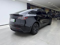 Tesla Model Y 2023 long-range all-wheel drive version - фото 3