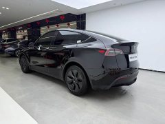 Tesla Model Y 2023 long-range all-wheel drive version - фото 4