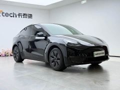 Tesla Model Y 2023 long-range all-wheel drive version - фото 7