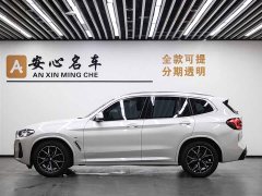 BMW X3 xDrive25i M Sports Package - фото 3