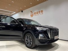 Hongqi HS5 2.0T two-wheel drive Qixiang Pro version - фото 6