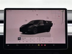 Tesla Model Y rear-wheel drive version - фото 13