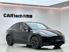 Tesla Model Y rear-wheel drive version - фото 6